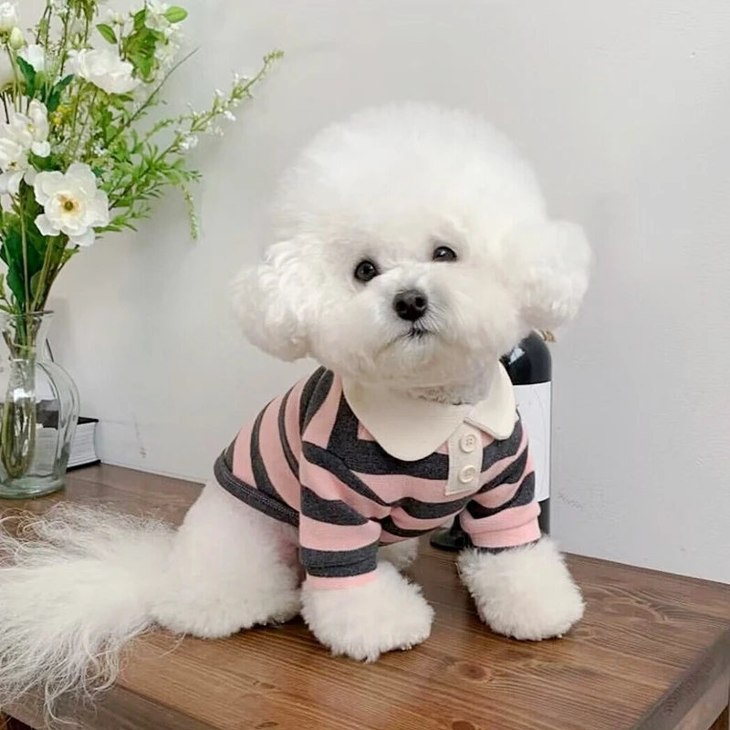 Summer Polo Shirt for Dogs Puppy Clothes Bichon Frise Chihuahua Stripe Dog Sweatshirt Dog Cooling Vest for Small and Medium Dogs Summer Polo Shirt for Dogs Puppy Clothes Bichon Frise Chihuahua Stripe Dog Sweatshirt Dog Cooling Vest for Small and Medium Dogs