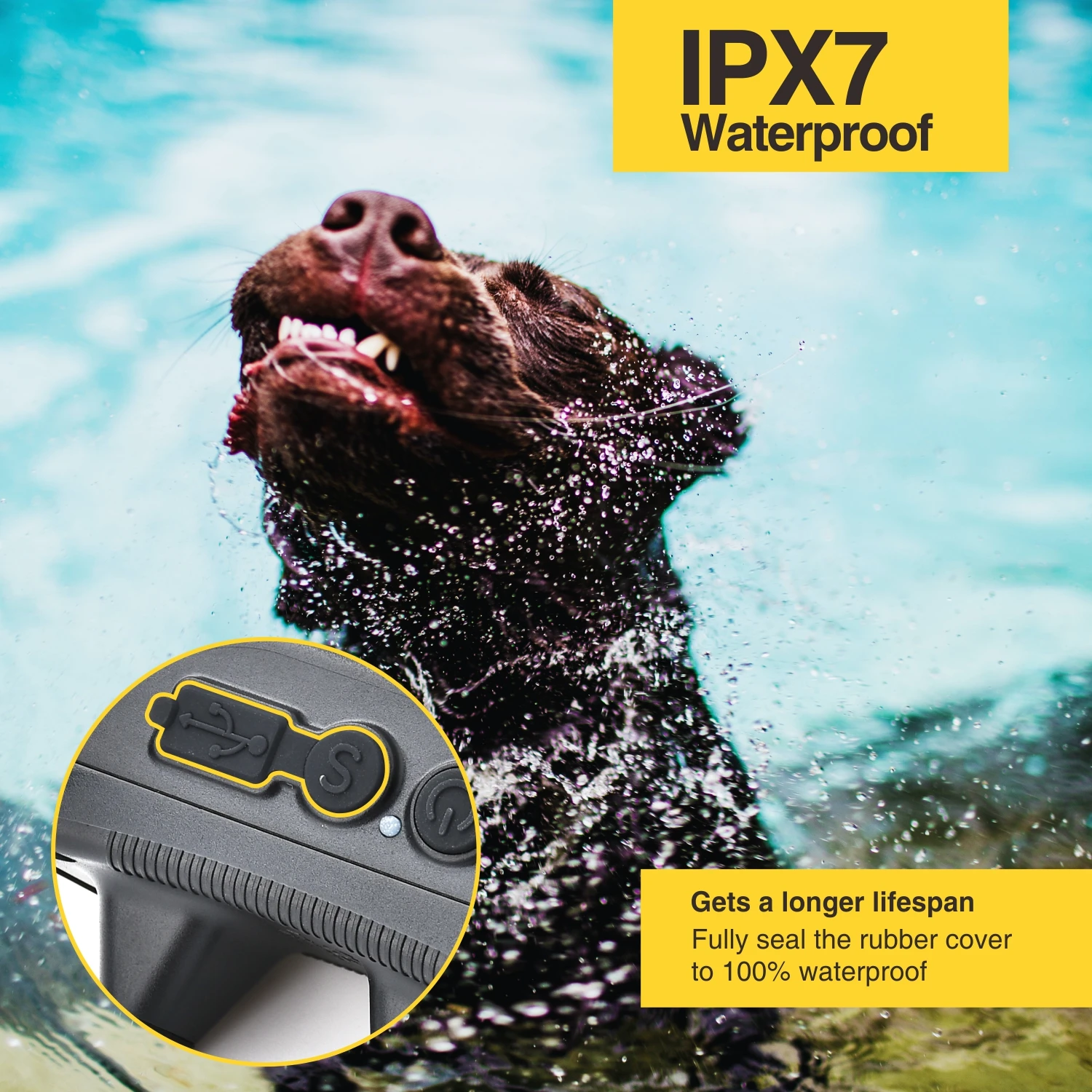 Dog Training Bark Collar 2 in 1 No Bark Control Collar 800M Rechargeable Dog Electric Collar Remote Waterproof Dog Pet Product Dog Training Bark Collar 2 in 1 No Bark Control Collar 800M Rechargeable Dog Electric Collar Remote Waterproof Dog Pet Product