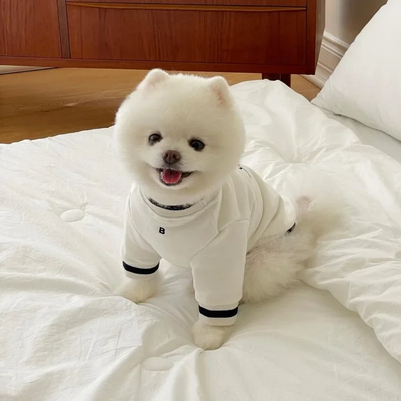 Pet Embroidery and Velvet Autumn and Winter Round Neck Hoodie for Dogs Pomeranians Teddy Bears Small Dogs Cats Pet Clothes Pet Embroidery and Velvet Autumn and Winter Round Neck Hoodie for Dogs Pomeranians Teddy Bears Small Dogs Cats Pet Clothes