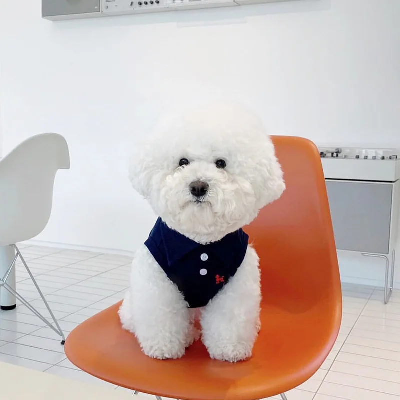 Summer Polo Shirt for Dogs Puppy Clothes Bichon Frise Chihuahua Stripe Dog Sweatshirt Dog Cooling Vest for Small and Medium Dogs Summer Polo Shirt for Dogs Puppy Clothes Bichon Frise Chihuahua Stripe Dog Sweatshirt Dog Cooling Vest for Small and Medium Dogs