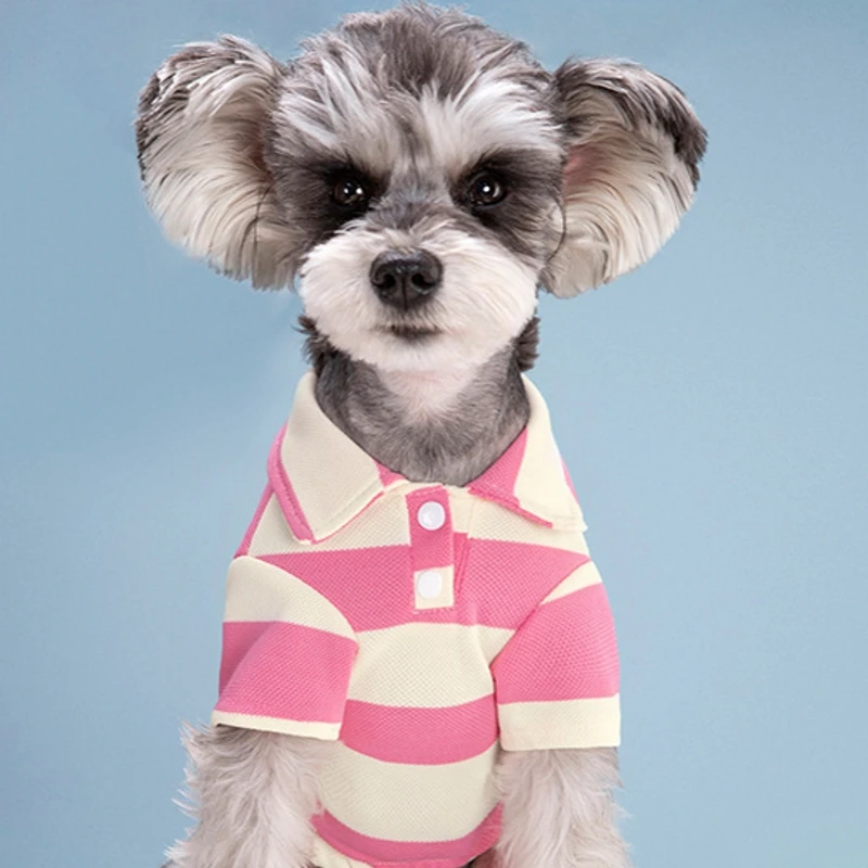 Pet Dog Polo Shirt Summer Dog Clothes Casual Clothing for Small Large Dogs Cats T-Shirt Chihuahua Pug Costumes Yorkshire Shirts Pet Dog Polo Shirt Summer Dog Clothes Casual Clothing for Small Large Dogs Cats T-Shirt Chihuahua Pug Costumes Yorkshire Shirts