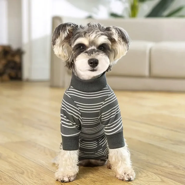 Dog Clothes for Small Dogs Spring Autumn Kitten Puppy Costumes Pet Striped Dog Hoodies Dog Shirt Chihuahua Bulldog Sweatshirt