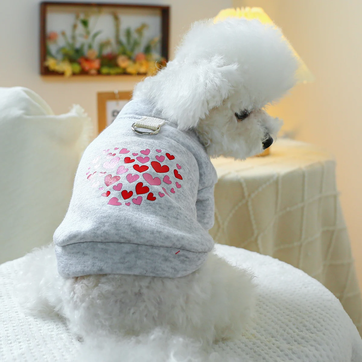 1PC Pet Clothing Dog Cat Valentine's Day Red Love Coat with Drawstring Buckle, Suitable for Small and Medium sized Dogs 1PC Pet Clothing Dog Cat Valentine's Day Red Love Coat with Drawstring Buckle, Suitable for Small and Medium sized Dogs