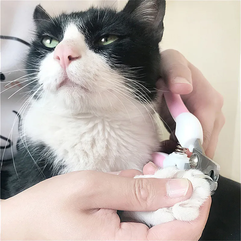 Dog Nail Clipper Scissors Kitten Nail Toe Claw Clippers Trimmer Labor-Saving Grooming Tools for Animals General Pet Supplies Dog Nail Clipper Scissors Kitten Nail Toe Claw Clippers Trimmer Labor-Saving Grooming Tools for Animals General Pet Supplies