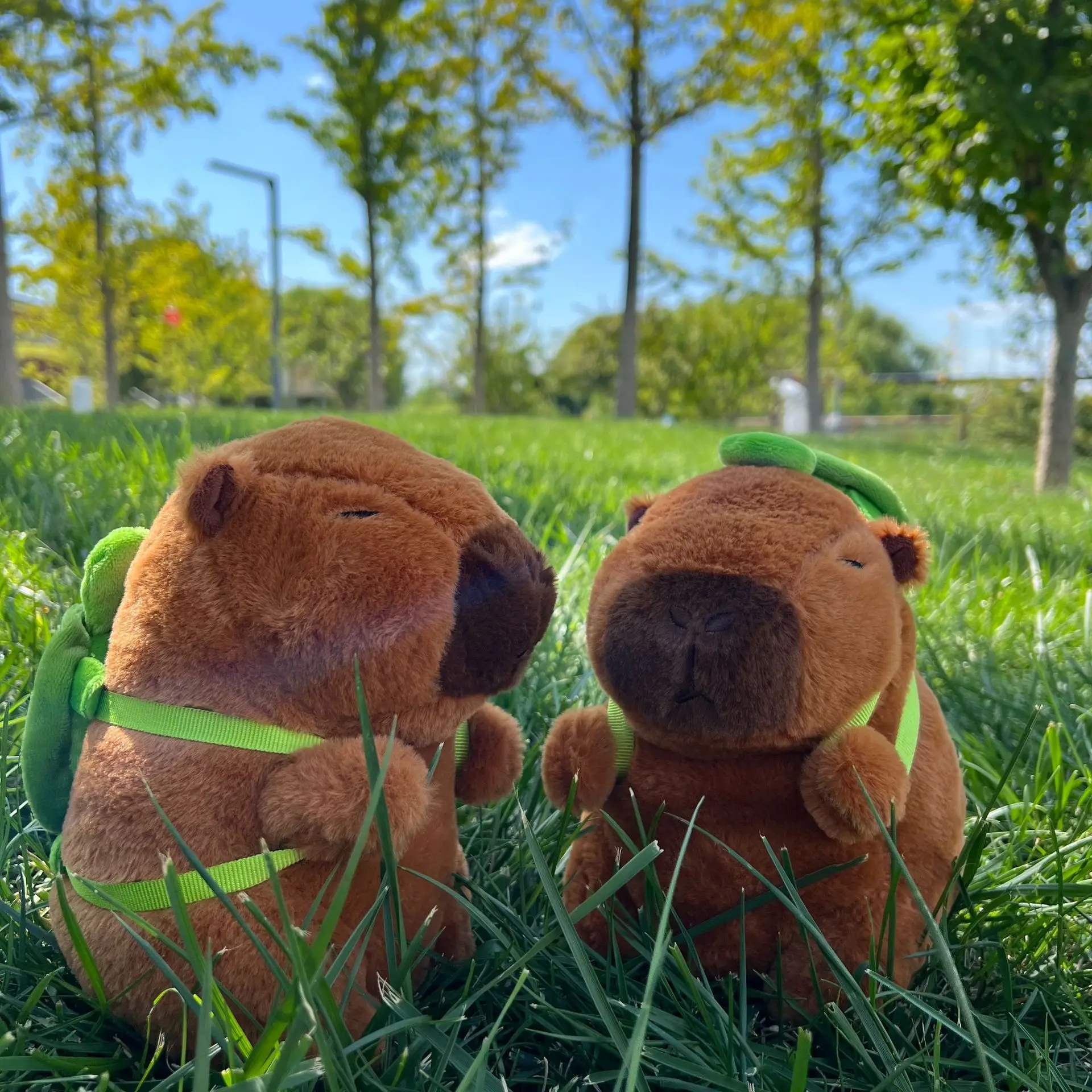 New 21cm Capybara Plush Toy Simulation Capibara Anime Fluffty Toy Cute Soft Stuffed Animals Doll Plush Christmas Gifts for Kids New 21cm Capybara Plush Toy Simulation Capibara Anime Fluffty Toy Cute Soft Stuffed Animals Doll Plush Christmas Gifts for Kids